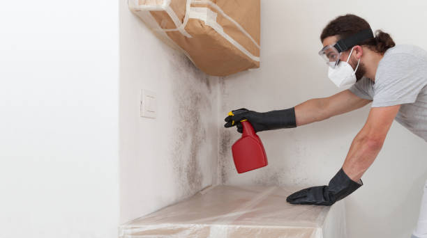 Professional Basement Mold Removal technician working in Rockaway, NJ