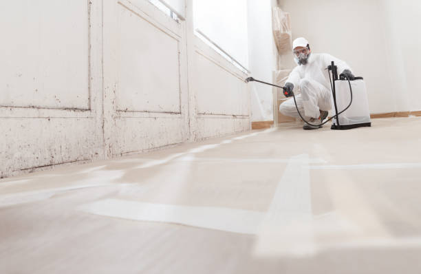 24/7 Emergency Basement Mold Removal experts in Rockaway, NJ