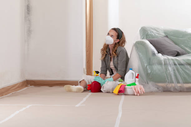 Reliable Basement Mold Removal contractor in Rockaway, NJ by WQB Mold Removal